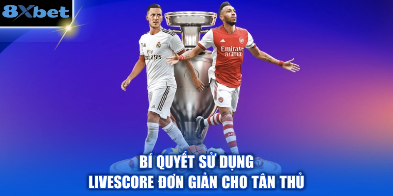 Bí quyết sử dụng Livescore đơn giản cho tân thủ