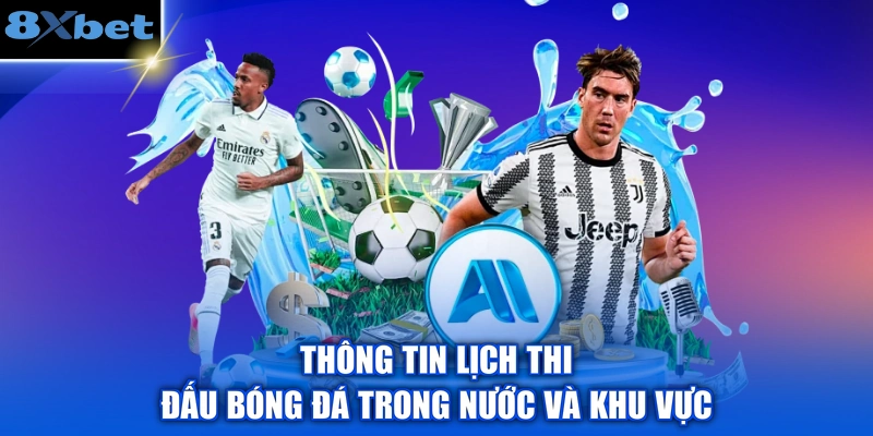 Thông tin lịch thi đấu bóng đá trong nước và khu vực